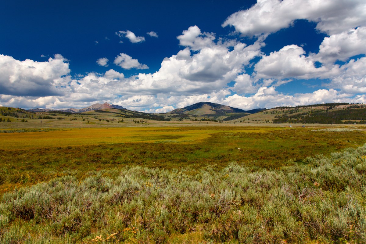How the Montana Constitution shapes the state’s environmental landscape