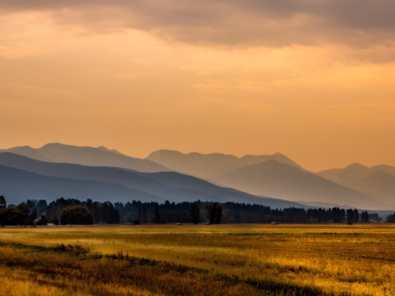Montana landscape