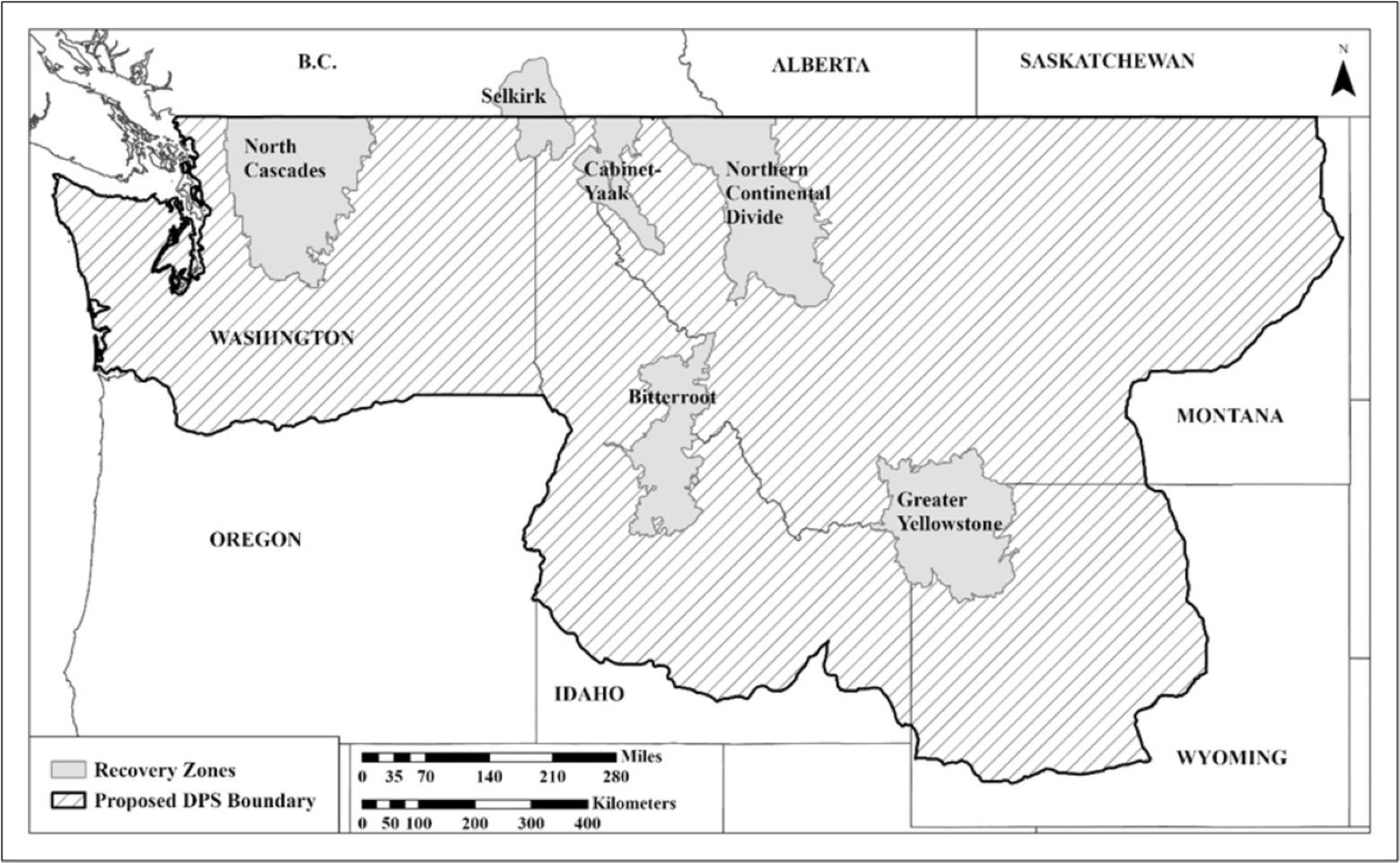 FWS: Grizzly Bears to Remain Protected Under Endangered Species Act