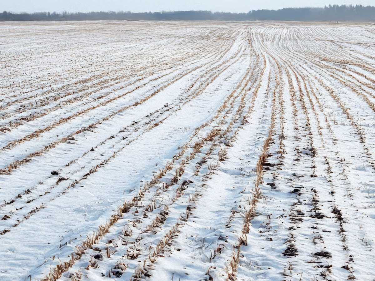 Lawmakers ponder bills aimed at narrowing ag property tax loopholes
