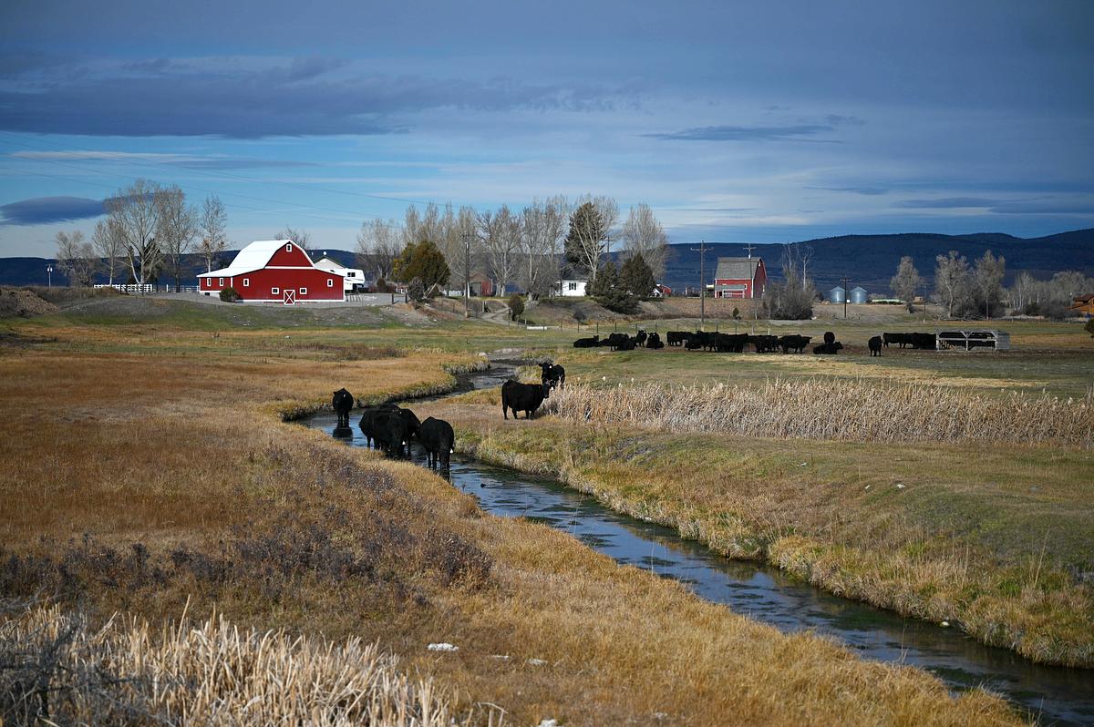 Lauren Miller, Montana Free Press, CatchLight Local/Report for America