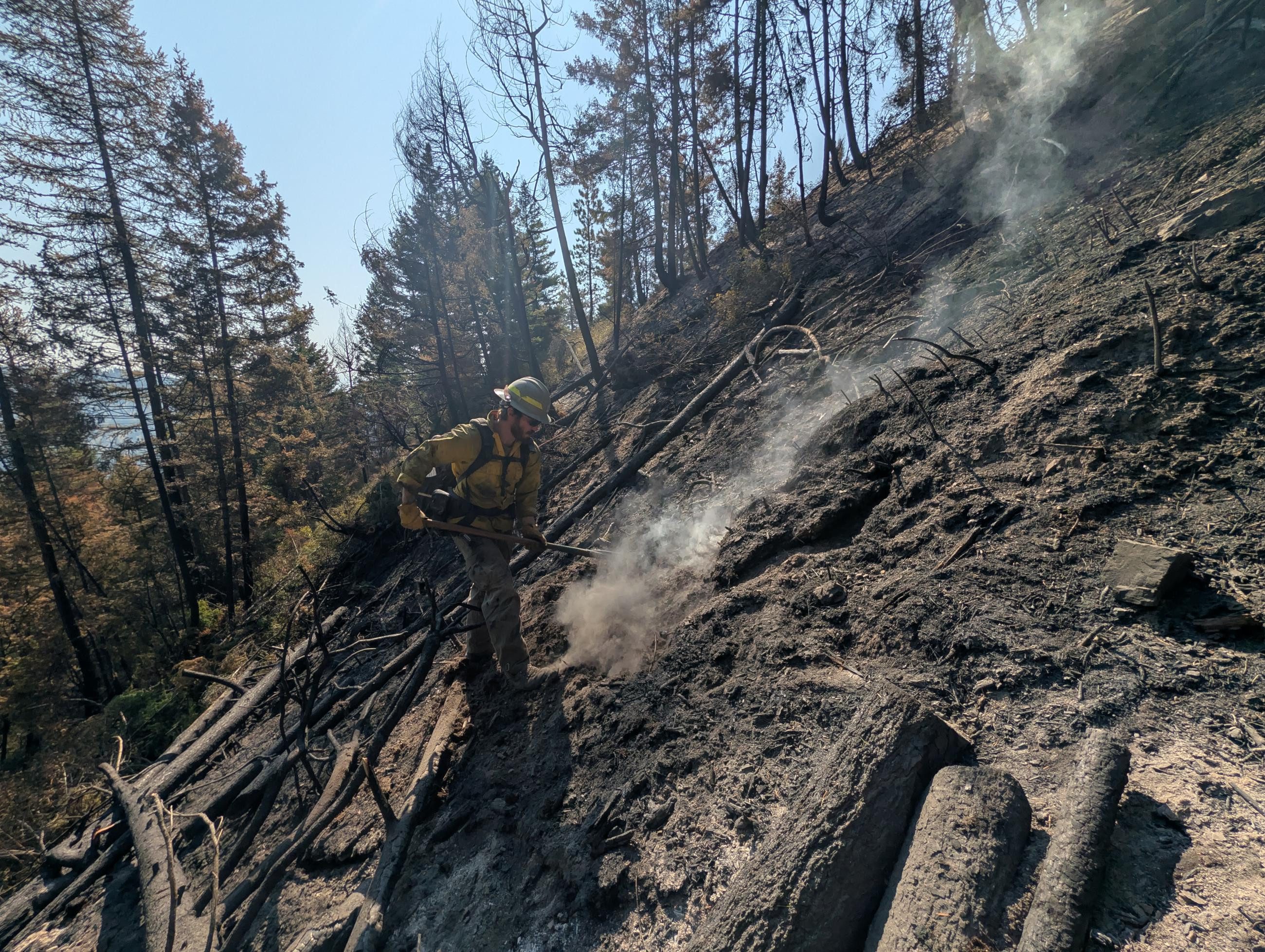 Courtesy of the Lolo National Forest