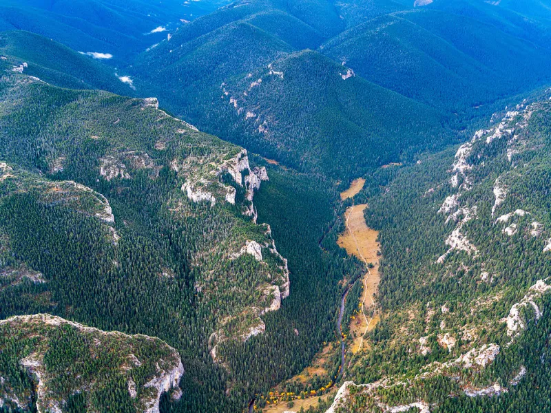 Major Forest Service policies could be changing. Here’s what’s at stake.